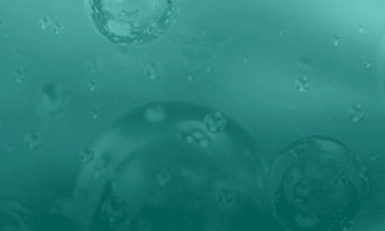 Oilfield Chemicals, USA 2026